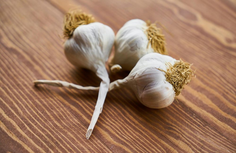 garlic
