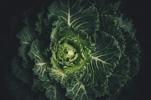 13 Best Foods Rich in Kaempferol for Cardiovascular Health