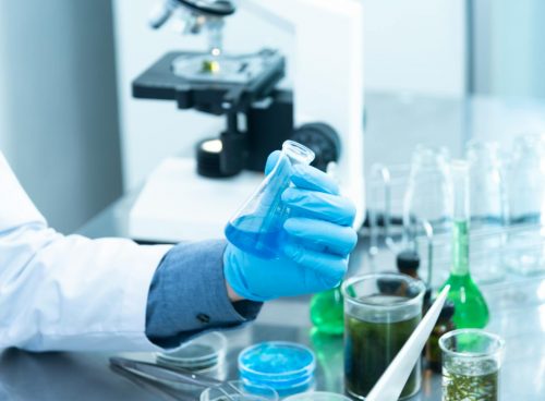 Person Holding Laboratory Flask