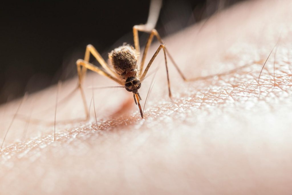 Malaria: Key Symptoms and Prevention Tips for 2023 1 Malaria: Key Symptoms and Prevention Tips for 2023