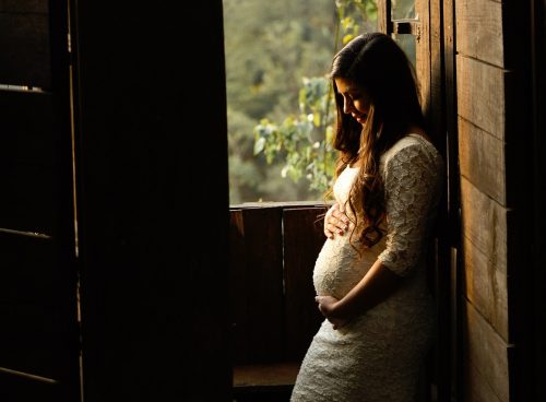 sun, sunlight, window