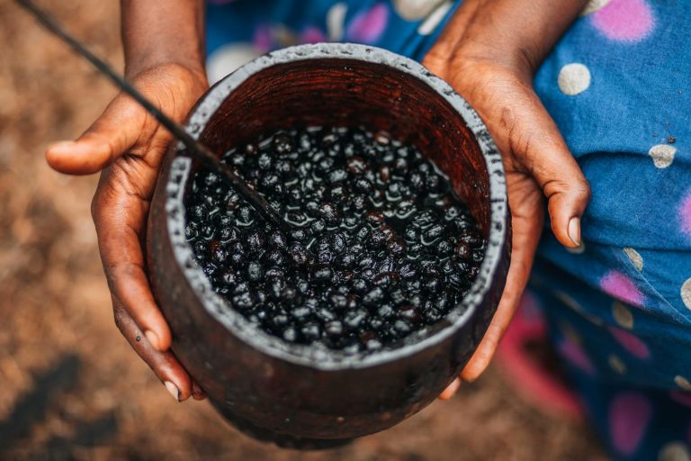 15 Amazing Benefits of Acai Berries