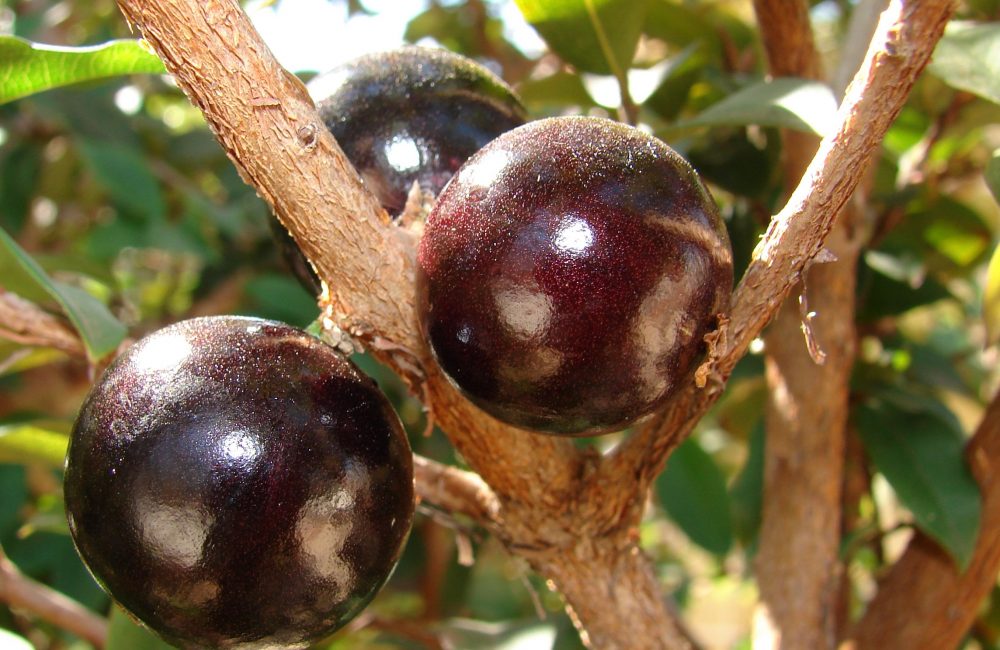 284ca036 aa83 452b 8178 606ff3f2379d