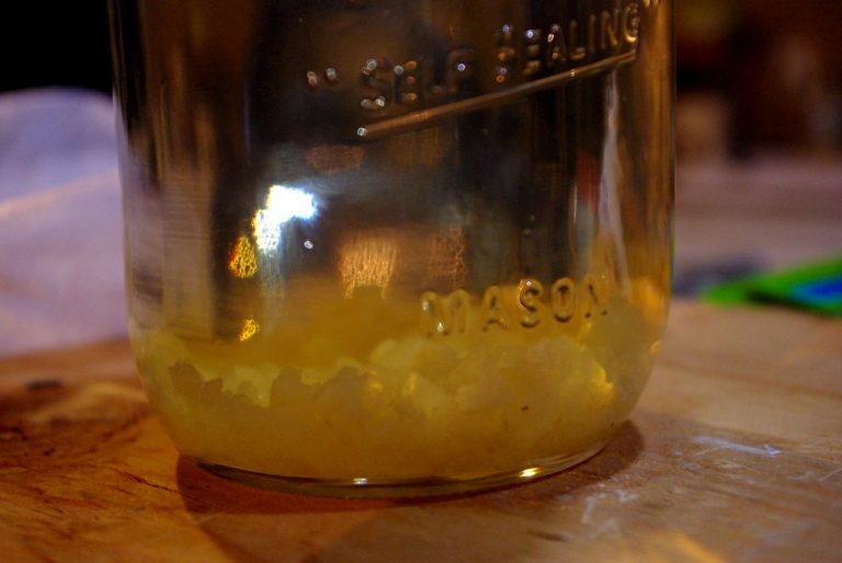 13 Amazing Benefits of Kefir Water