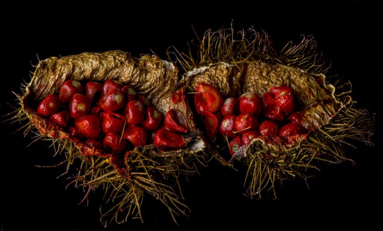 13 Amazing Health Benefits of Annatto Seeds