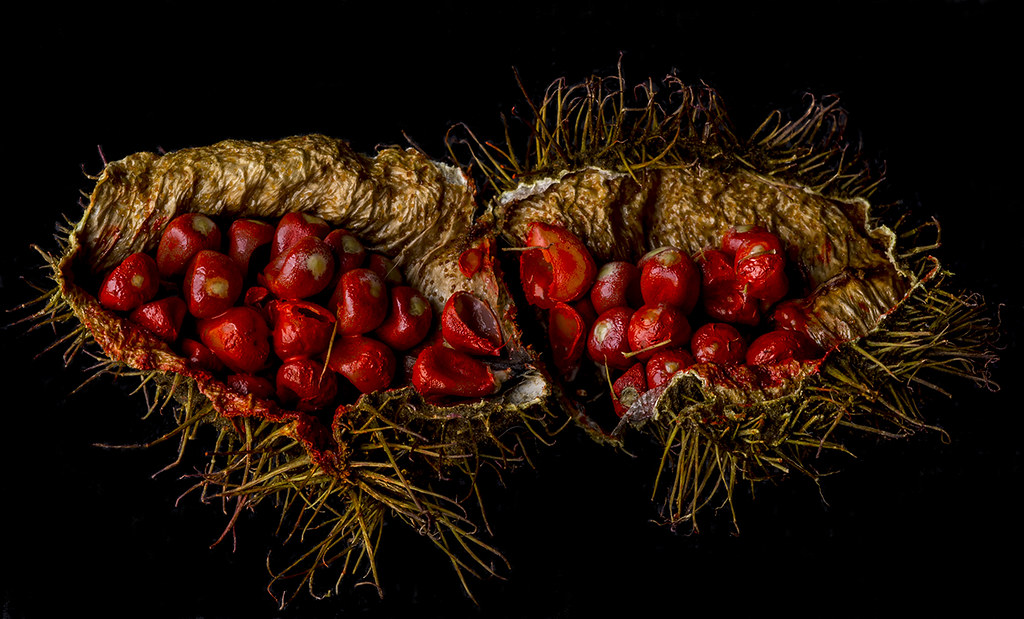 13 Amazing Health Benefits of Annatto Seeds