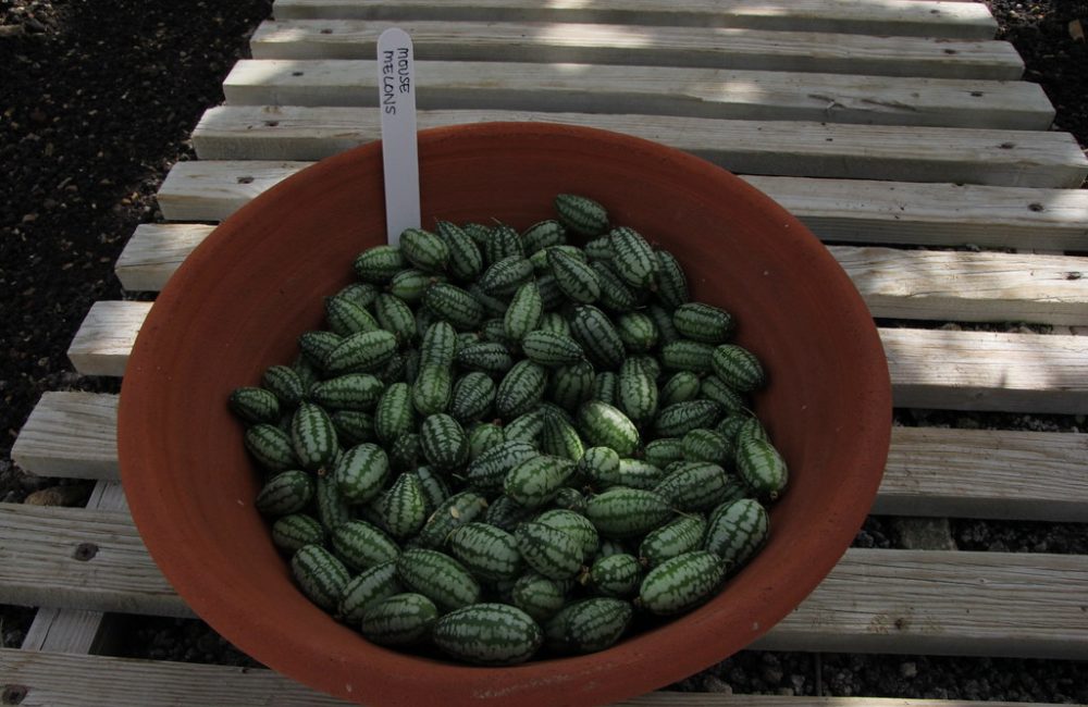 2e27fabb 7596 4f86 a852 72debc9651a0