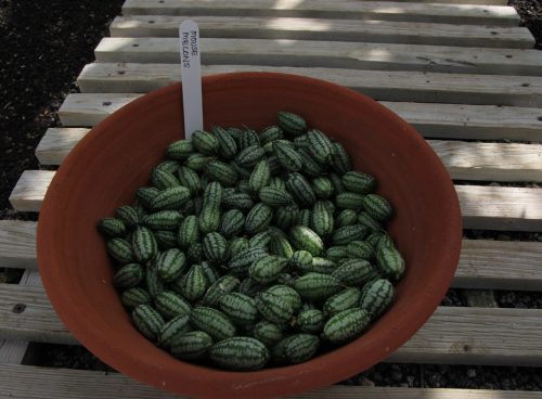 2e27fabb 7596 4f86 a852 72debc9651a0