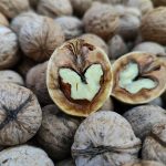14 Best Foods for Enhancing Cognitive Abilities