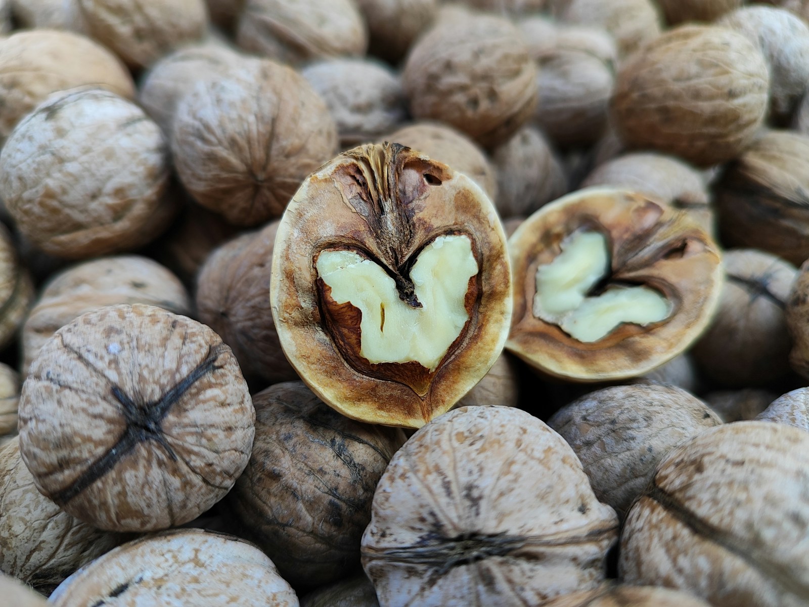 a bunch of nuts that are sitting on top of each other