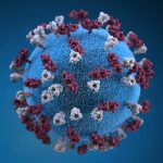 What’s the Difference Between an Infection and an Inflammation?