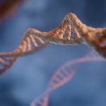 12 Best Foods High in Ellagic Acid for DNA Repair