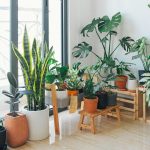 How to Keep the Air in Your House Healthy