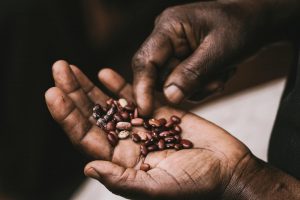 13 Best High-Fiber Foods for People with Constipation