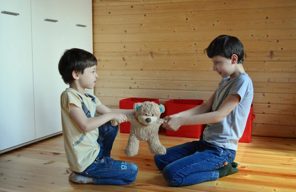 Side view full length irritated fighting brothers sitting on floor and pulling teddy bear to sides
