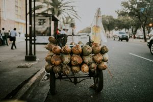 The Best Cities to Visit in the Dominican Republic