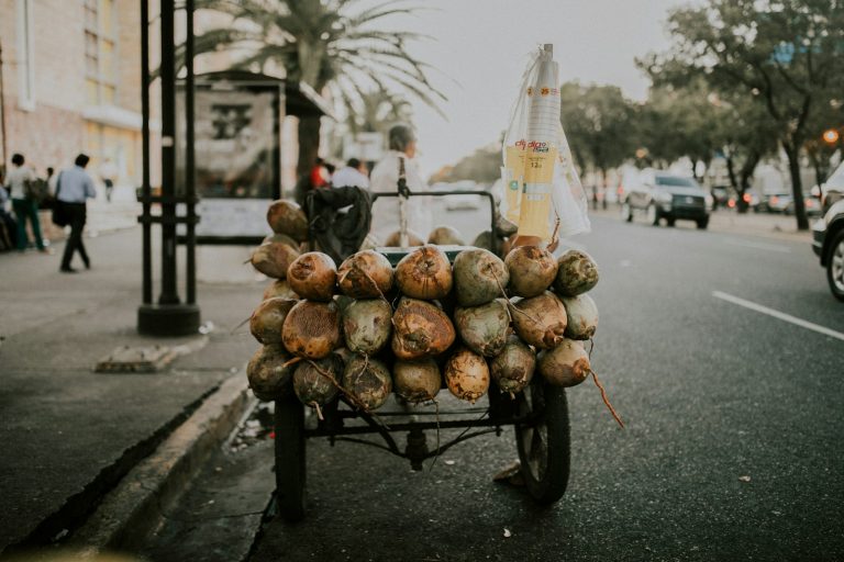 The Best Cities to Visit in the Dominican Republic