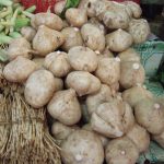 15 Amazing Health Benefits of Yam Beans: A Nutritional Powerhouse for Overall Well-being