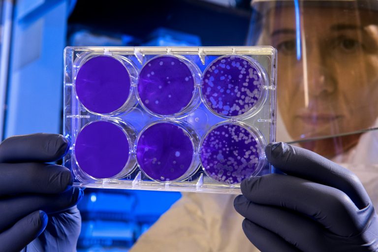 How Do Bacteria Move?