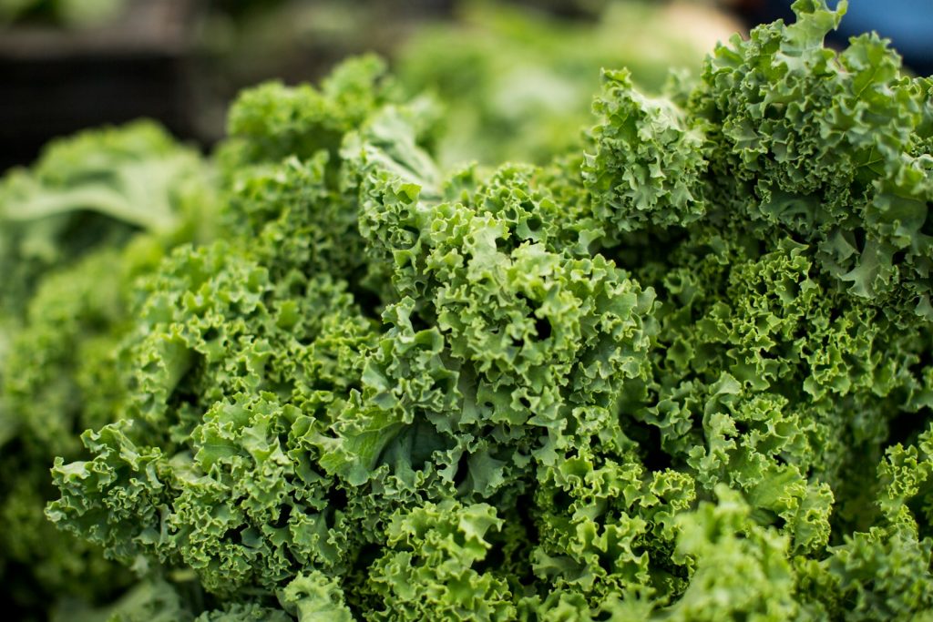 15 Vitamin-Rich Foods to Supercharge Your Diet