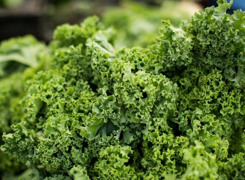 macro shot photography of kale