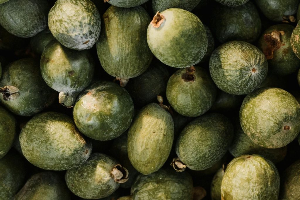 Close Up Shot of a Feijoa Fruits