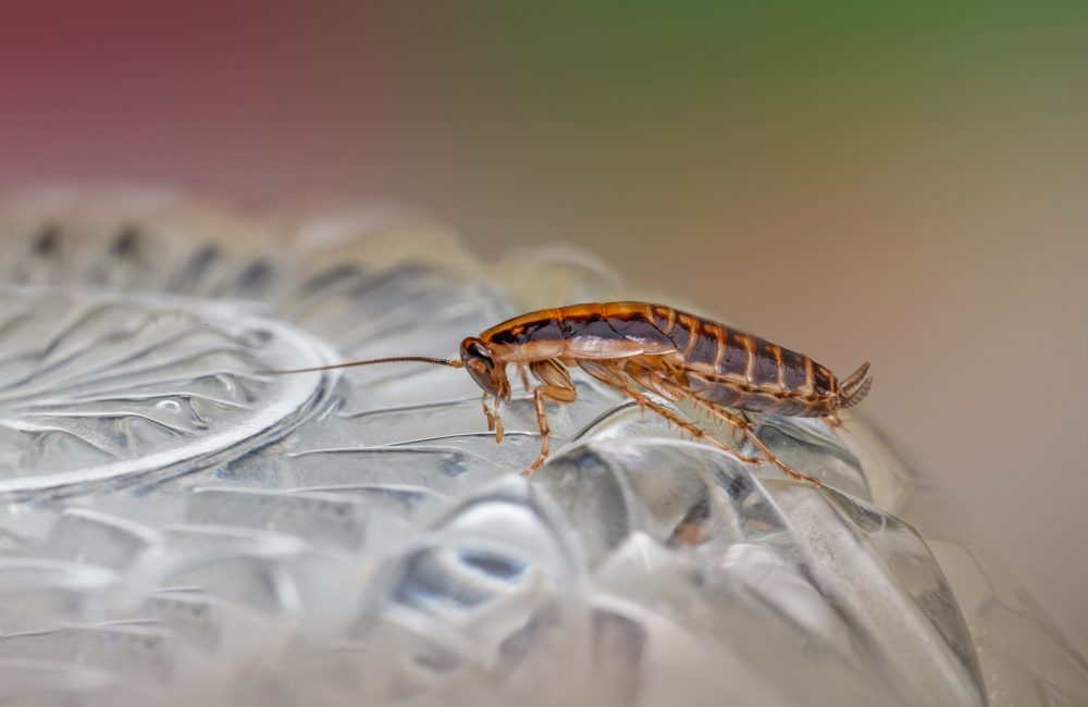 6ad7060f 6192 4df3 83c7 70a15904057a 1