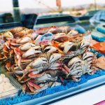 Can You Cure a Shellfish Allergy?