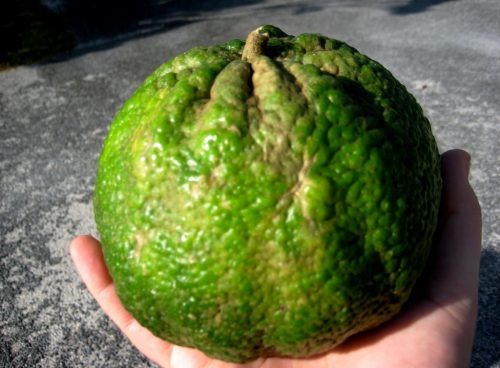 6fba8328 fb55 4d3f b264 980515afb49b