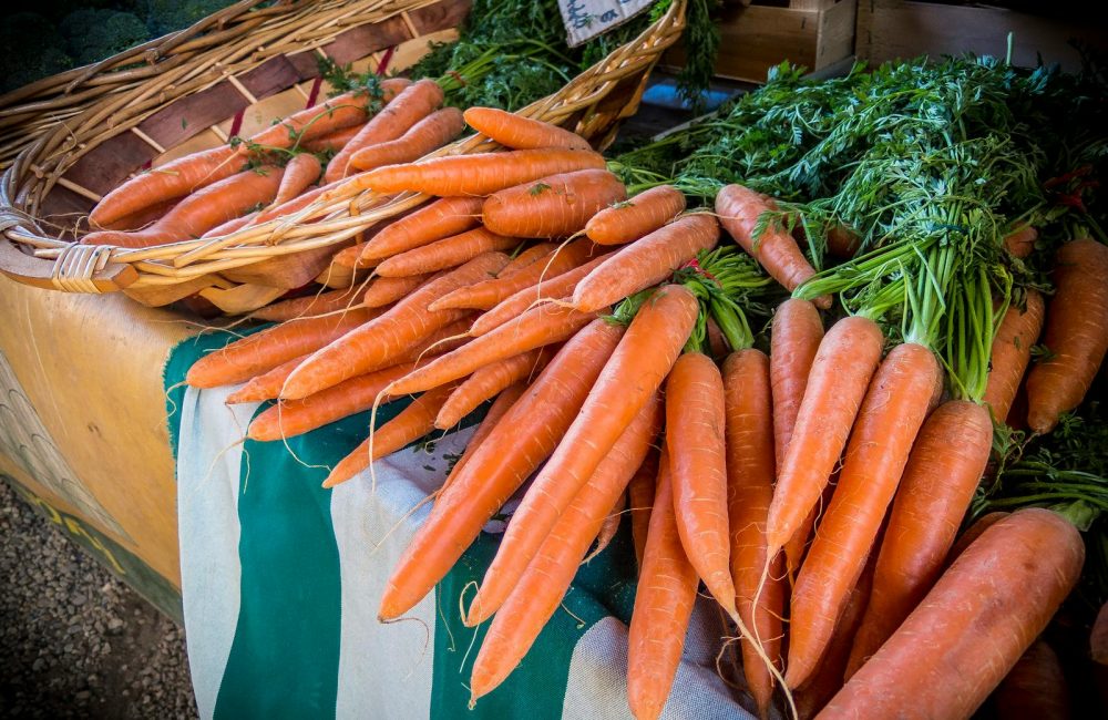 Carrot Lot