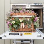 Is Cremation Suitable for Christians?