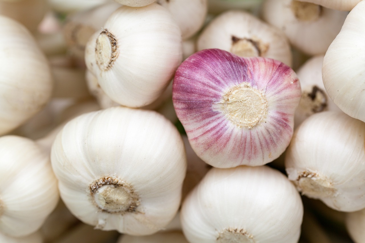 15 Best Foods for Reducing the Risk of Type 2 Diabetes 1 garlic