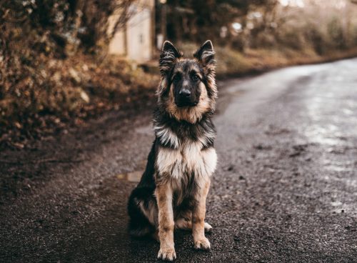 860b8b9f 5d50 419b 86a4 6f897ab935e4 1