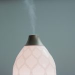 12 Surprising Benefits of Using an Essential Oil Diffuser in Your House