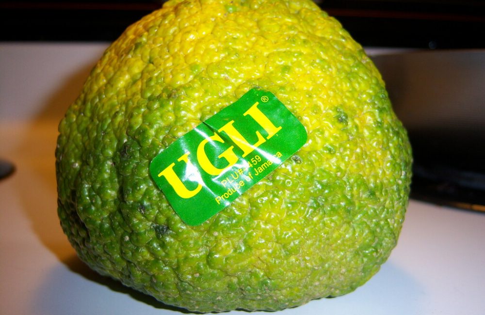 13 Best Health Benefits of Ugli Fruit for Children