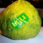 13 Best Health Benefits of Ugli Fruit for Children