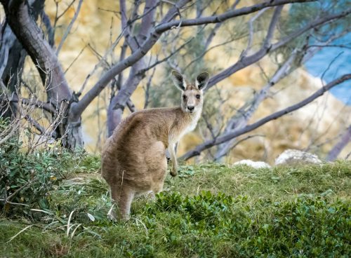 a1655054 11c2 45a6 9ada d85faa33d70d 1