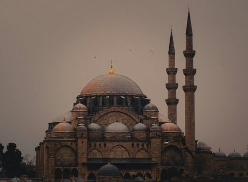 aa4a889f 7421 4ba1 8559 c7c0f575ead4 1 1