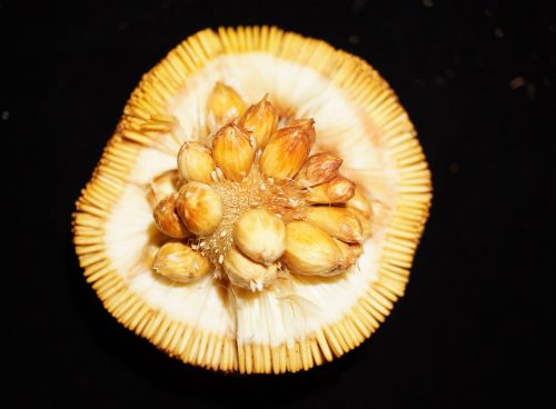 af9c0822 4ca0 4756 b3d5 7d6ddc6d8ed1