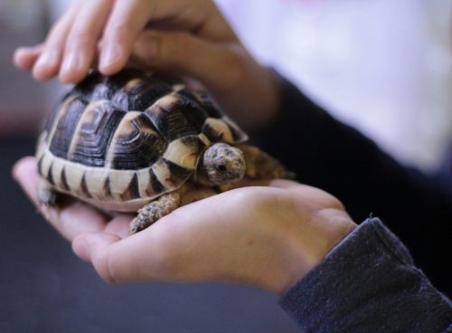 c9b1e5a8 cee1 4805 9f0d 1b9e8b8dbe42 2 1