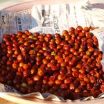 Is Eating Jujube Safe for People with Diabetes?