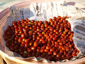 Is Eating Jujube Safe for People with Diabetes?