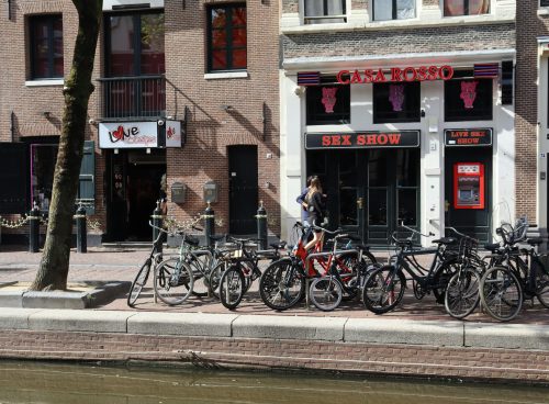 d03c9450 3836 4560 8157 d6a780d54729 1