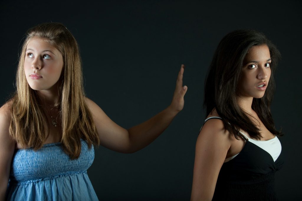 Why Are My Kids So Mean to Each Other? 1 Why Are My Kids So Mean to Each Other?
