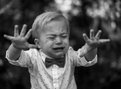 f178c587 efc4 45bf 8ff5 4f6cf28a1a4d 1