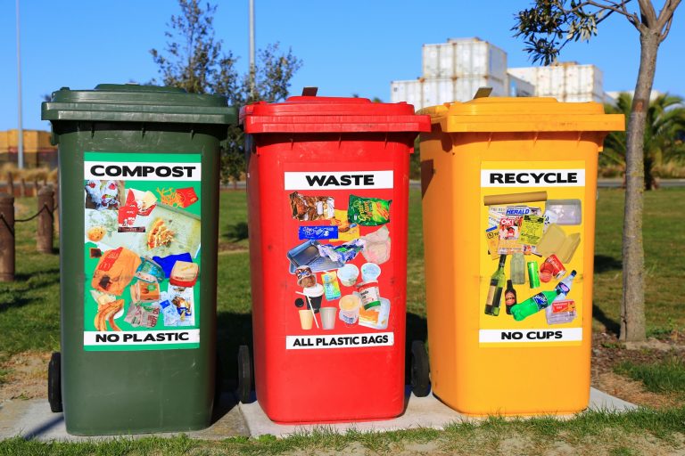 15 Myths You Should Avoid if You’re Trying to Be More Eco-Friendly