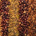 20 Healthy Fats: Best Nuts for Your Heart and Brain