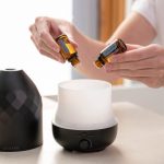 Are Essential Oil Diffusers Safe for Pets?