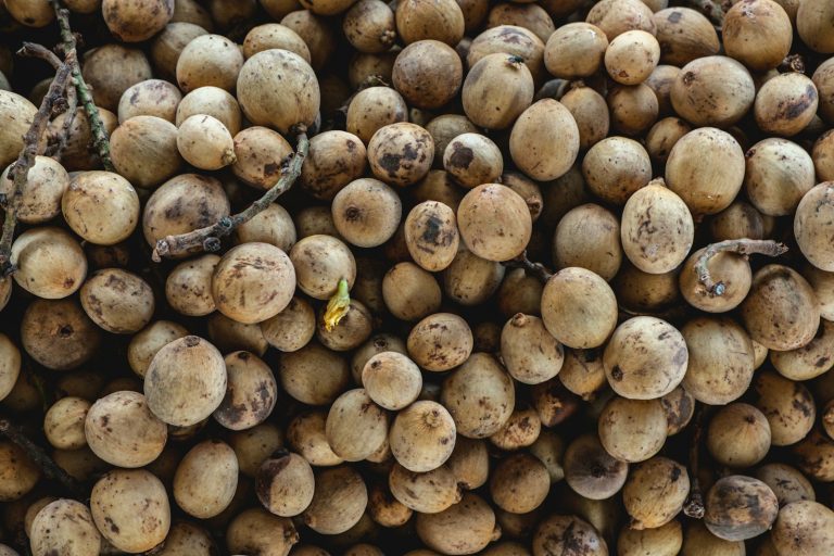 14 Amazing Health Benefits of Langsat for Children