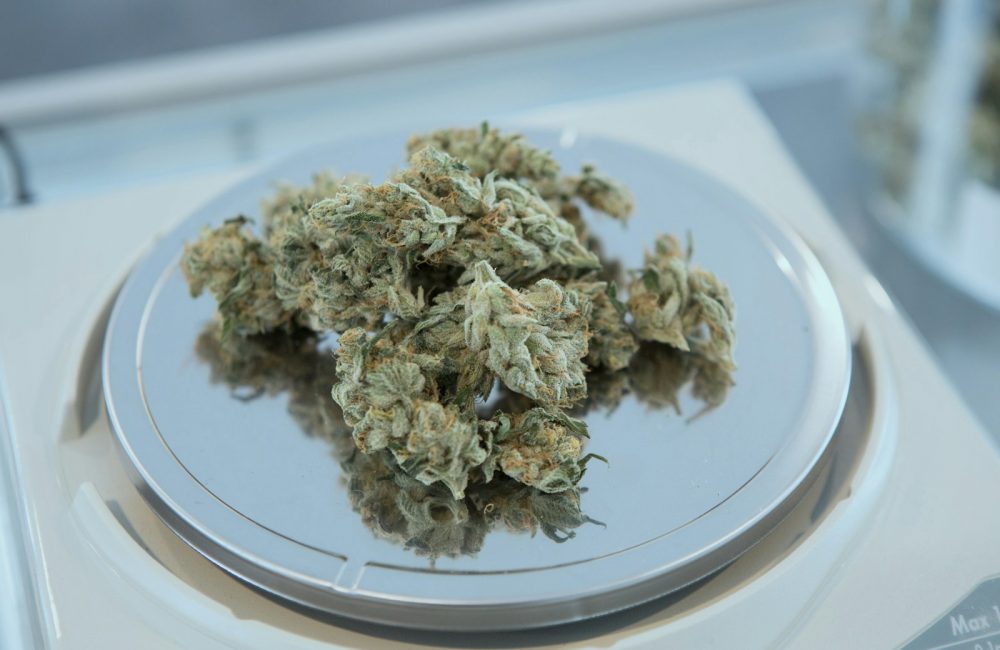 green Cannabis on round gray scale